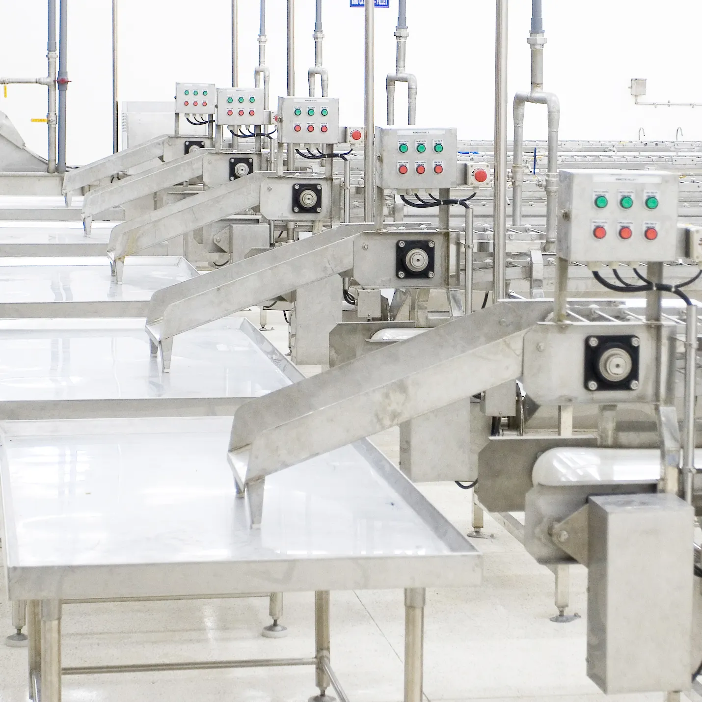 Fish Processing Line