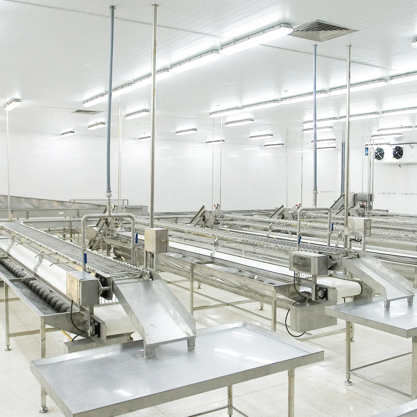 Fish Processing Line