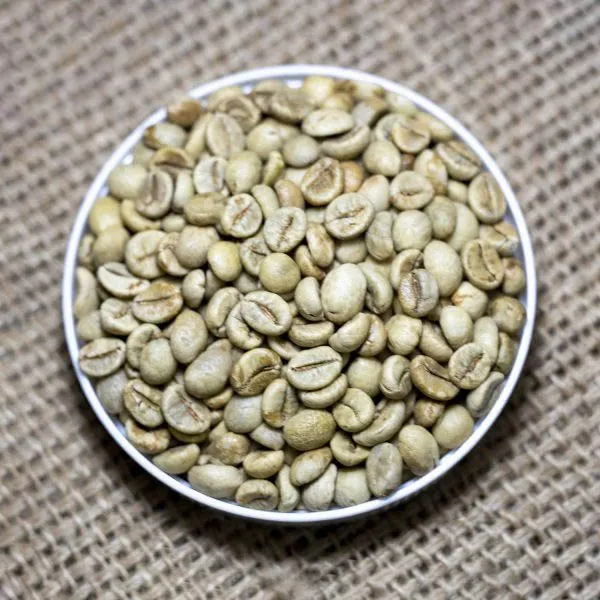 罗布斯塔咖啡豆