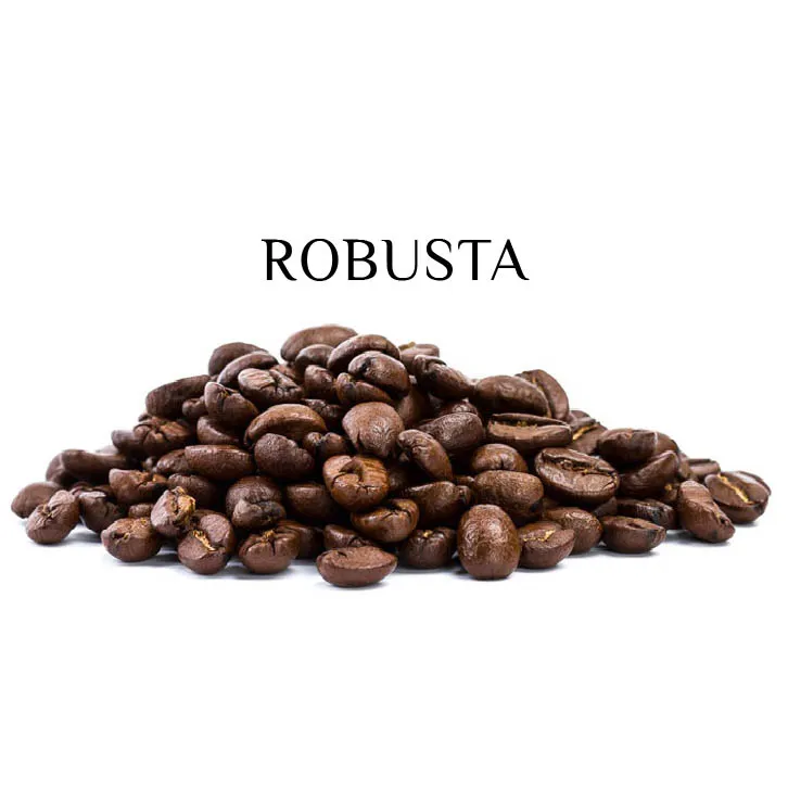 罗布斯塔咖啡豆