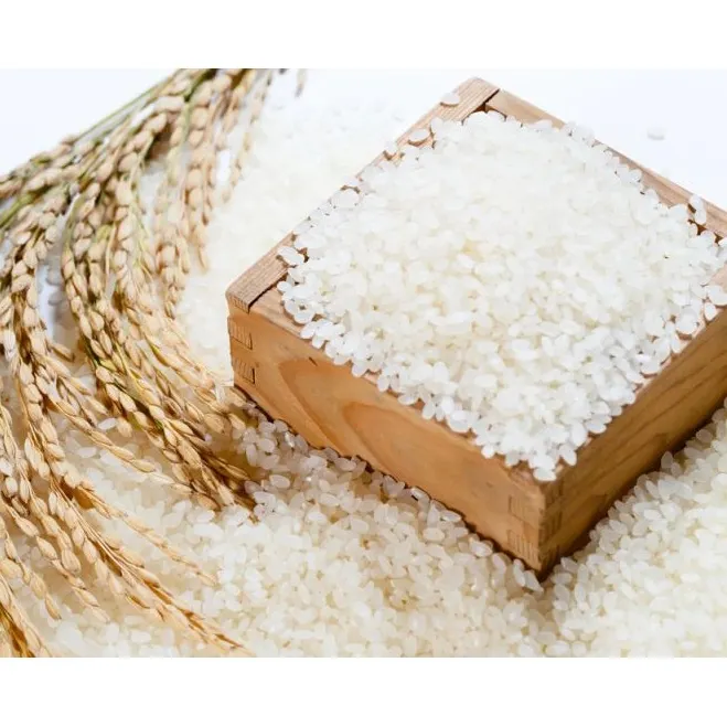 Gạo Japonica Neptune (túi 5kg)