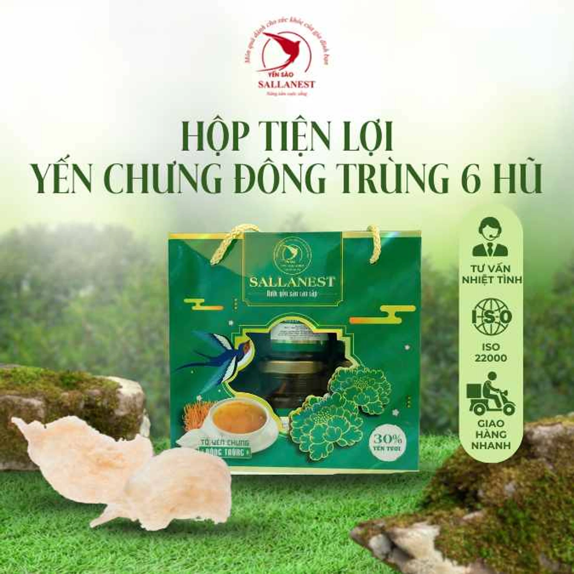 SALLANEST - Steamed Bird's Nest with Cordyceps