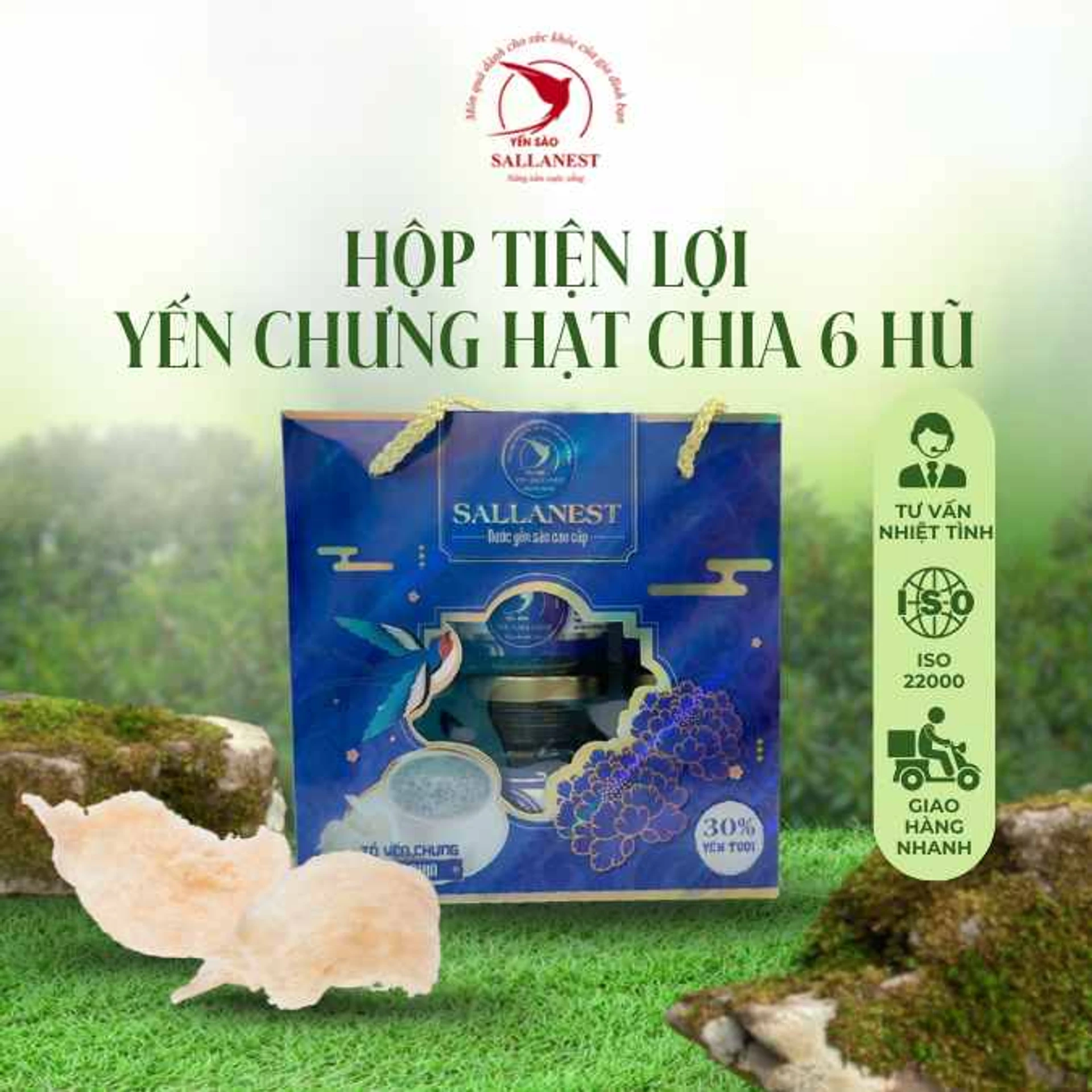 SALLANEST - Steamed Bird's Nest with Chia Seeds