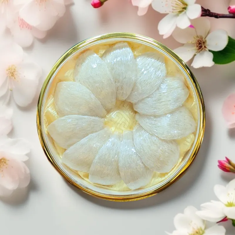 รังนกแช่แข็ง Fanza