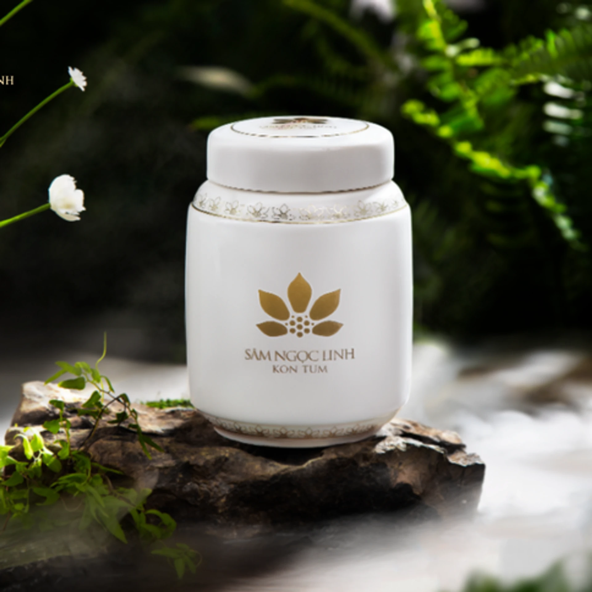 Ngoc Linh Ginseng Kon Tum K5 Soaked in Honey