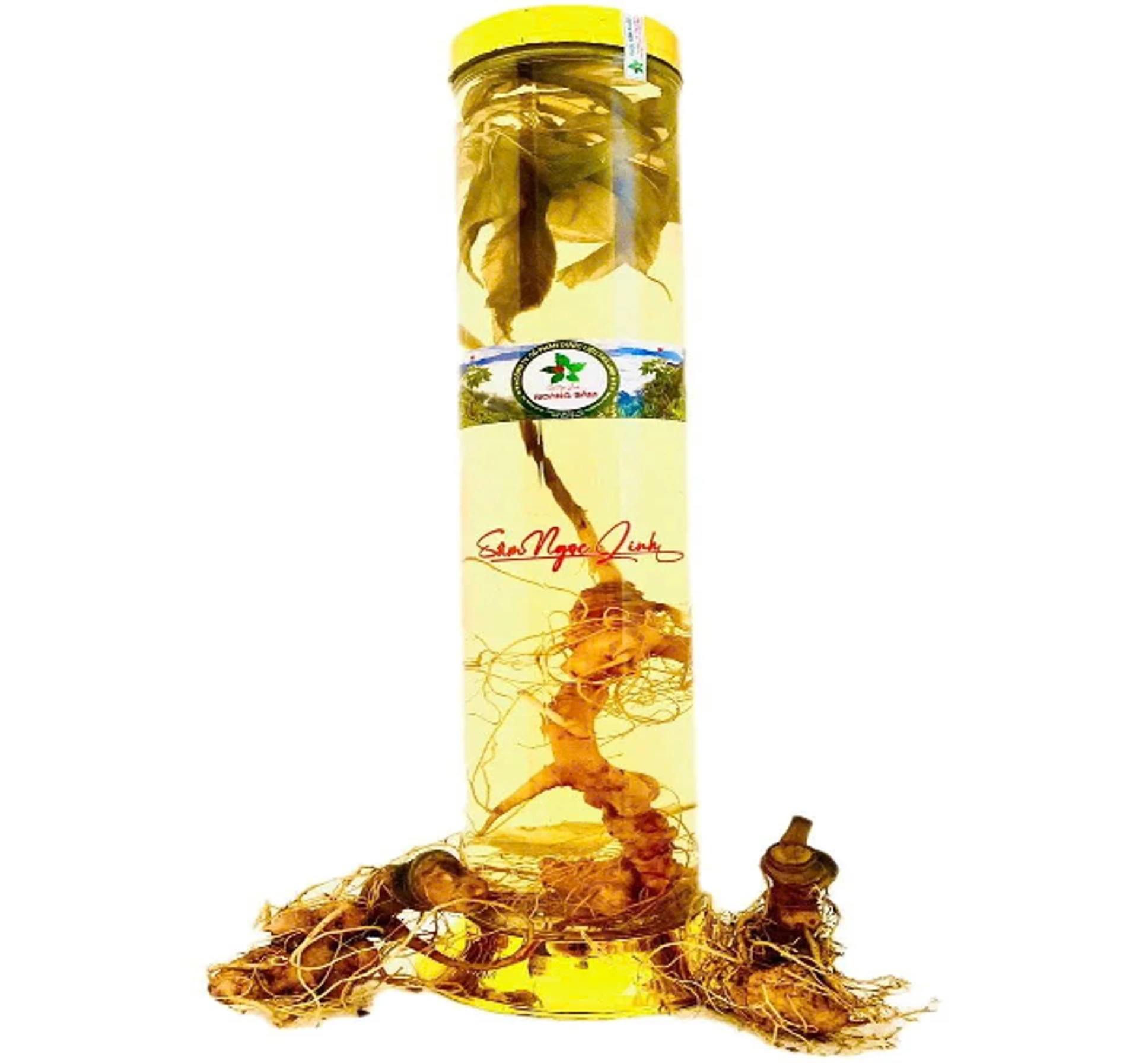 NGUYEN CAY SAM NGOC LINH 1 LIT (1 Liter of Ngọc Li