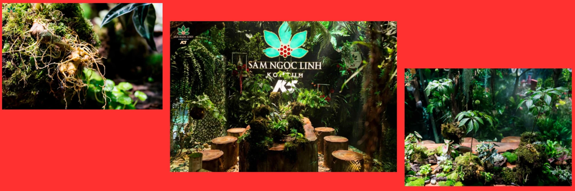 Business banner
