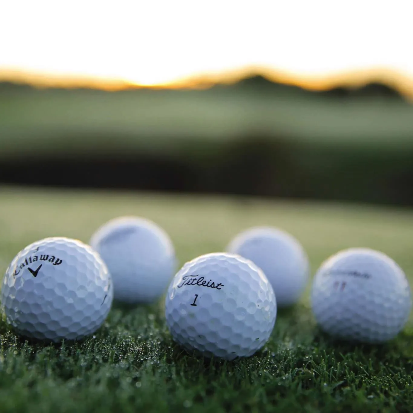 高尔夫球租赁