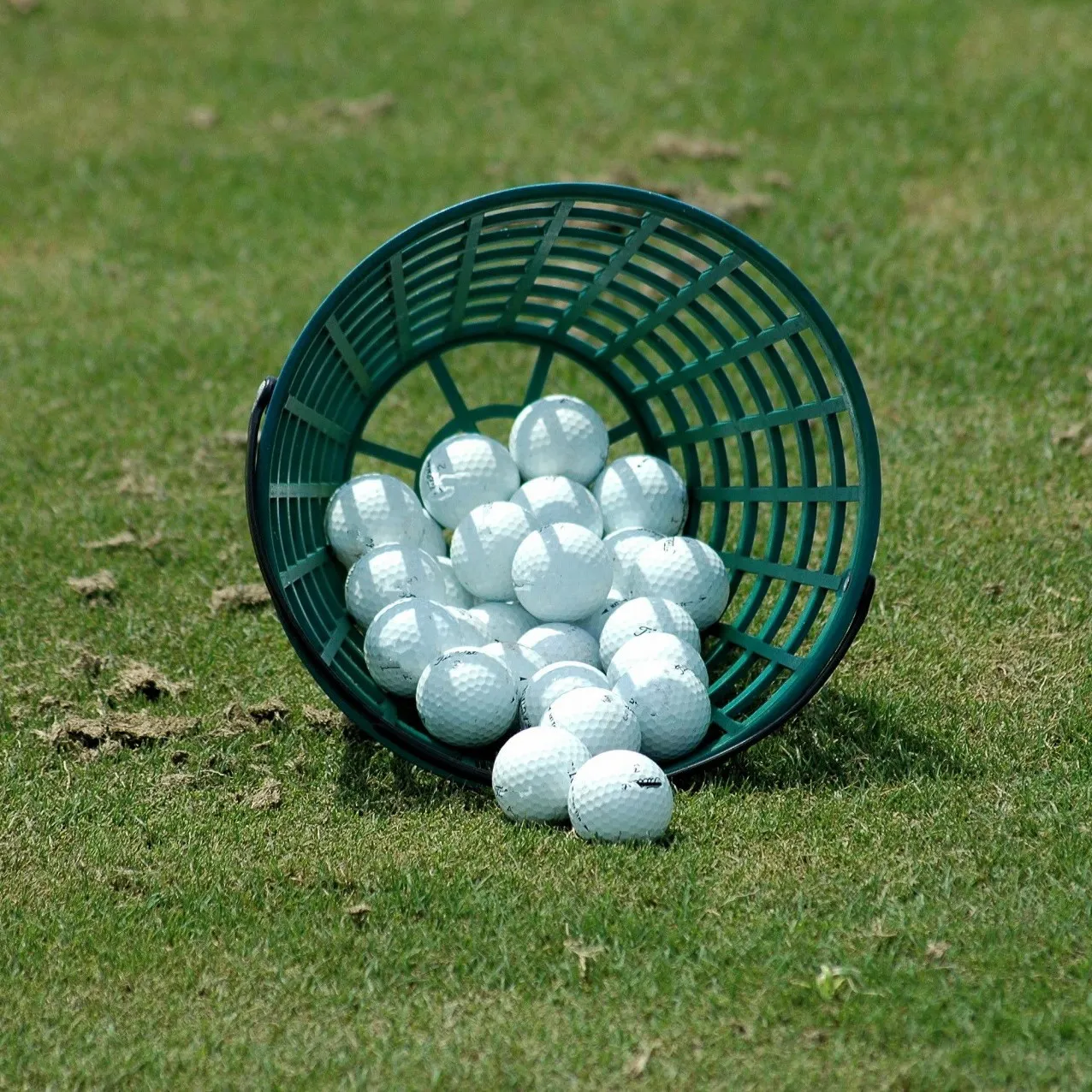 高尔夫球租赁