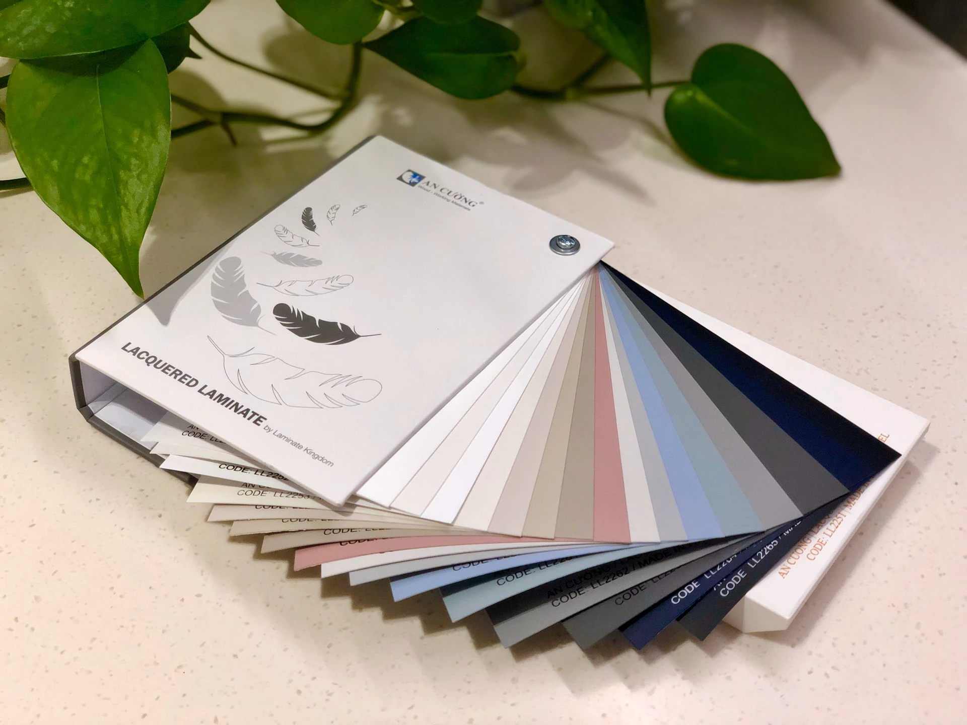 TẤM LACQUERED LAMINATE