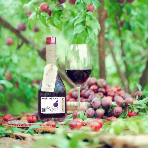 Rượu Mận Sapa VM