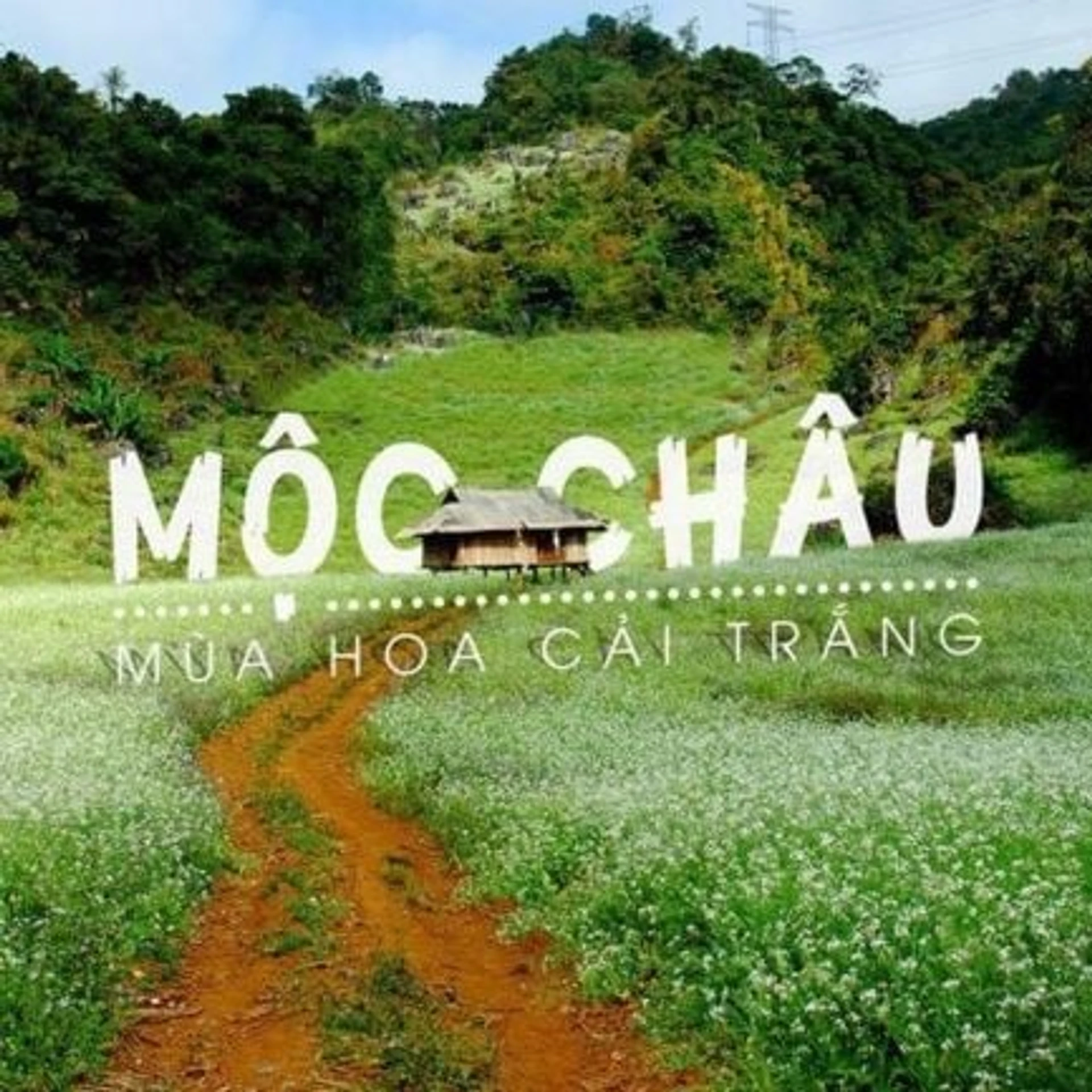 MAI CHÂU - MỘC CHÂU - ดิเอ็นเบียน