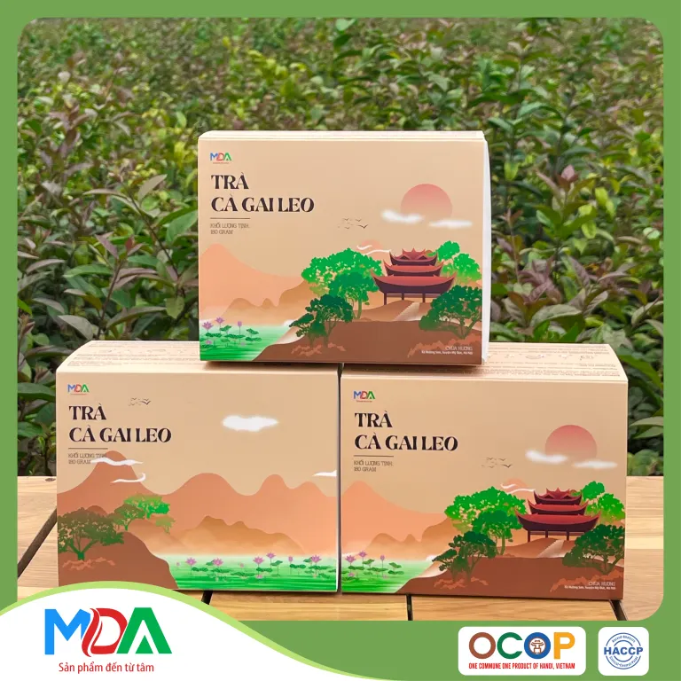 Tra Ca Gai Leo Tea