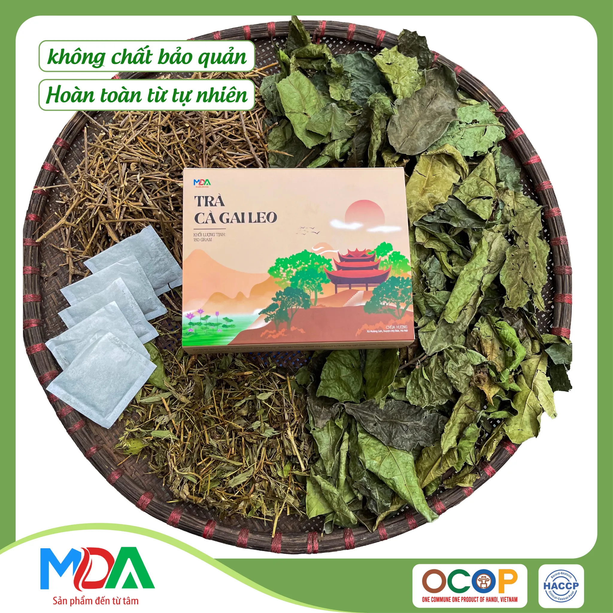 Tra Ca Gai Leo Tea
