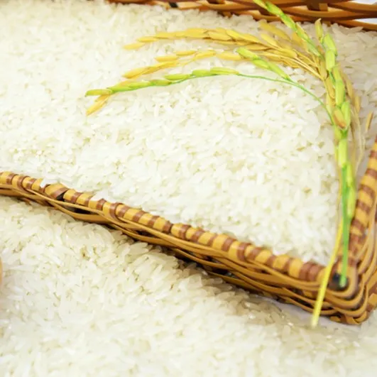 Gạo Thơm Thượng Hạng