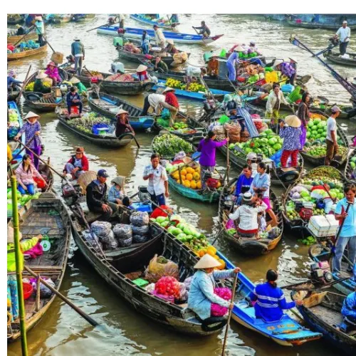 豪华古芝地道与湄公河三角洲一日游
