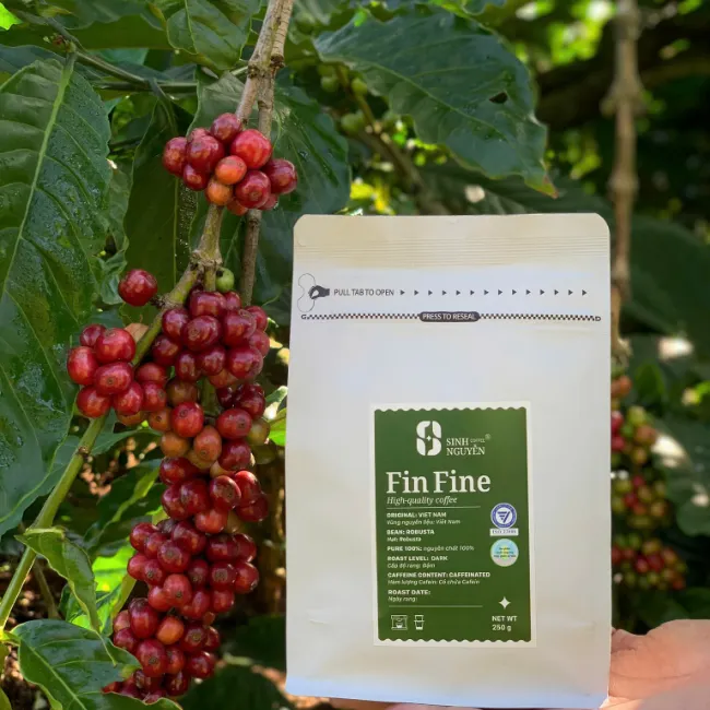 Premium Pure Roasted Robusta Coffee