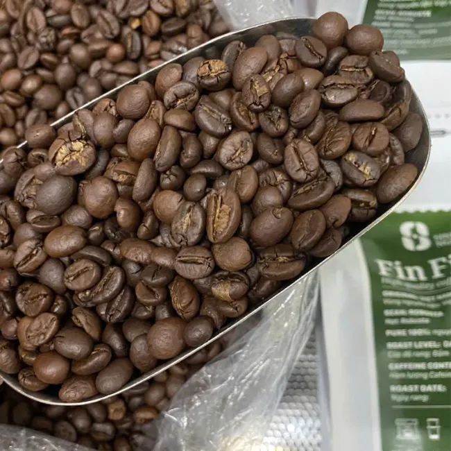 Premium Pure Roasted Robusta Coffee