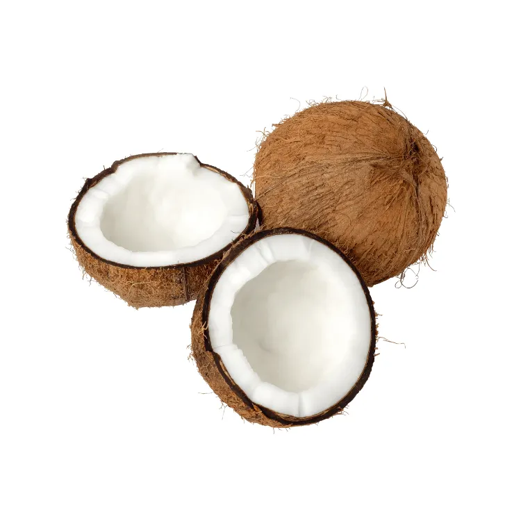 Noix de Coco Séchée Biologique Vietnamienne – Pulpe de Noix de Coco Naturelle