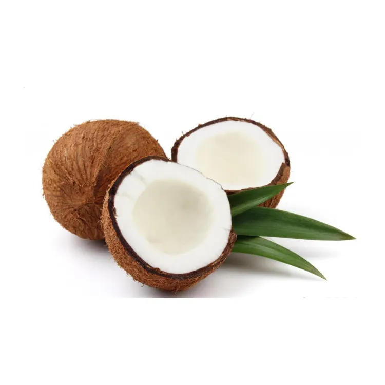 Noix de Coco Séchée Biologique Vietnamienne – Pulpe de Noix de Coco Naturelle