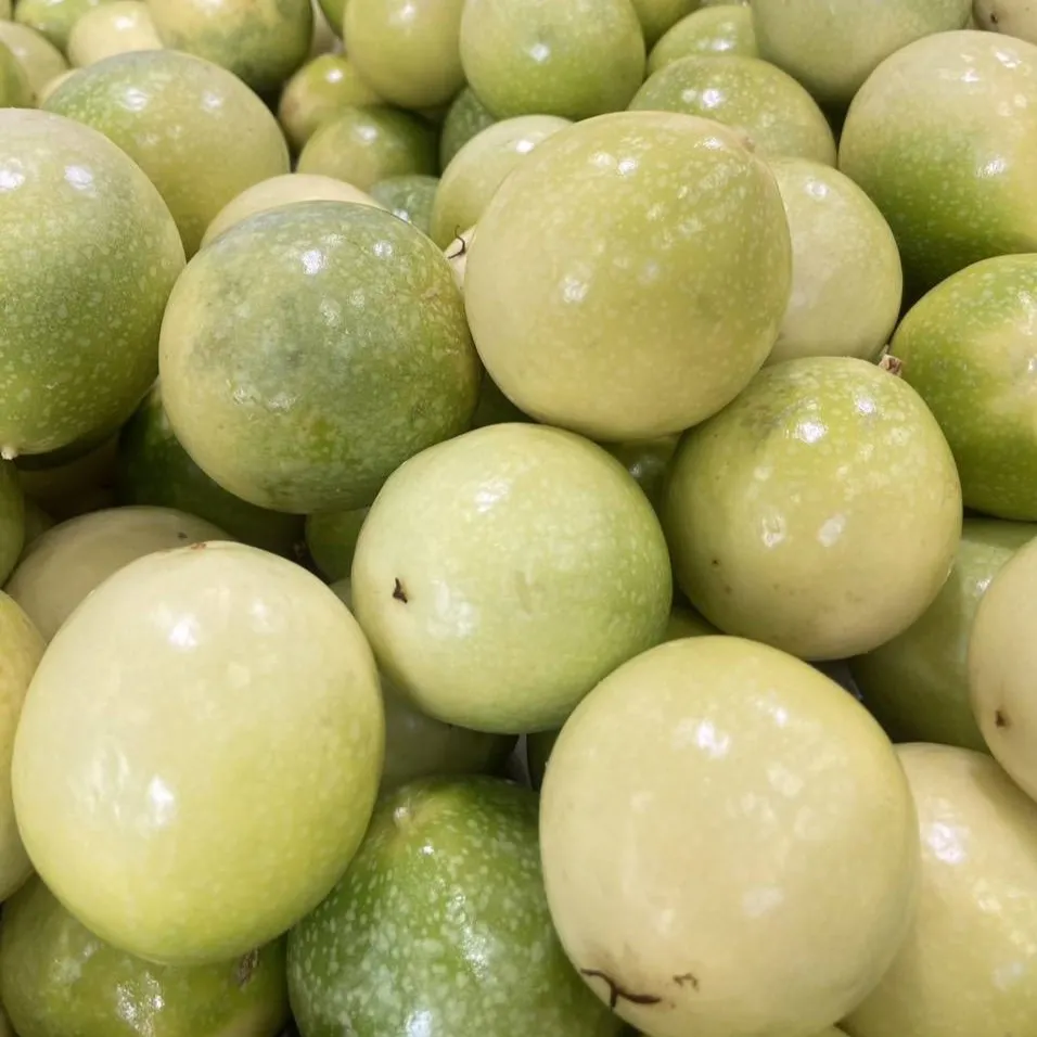 トロピカルフルーツです Amazon | 富士通商 トロピカルフルーツミックス 500g | 富士通商