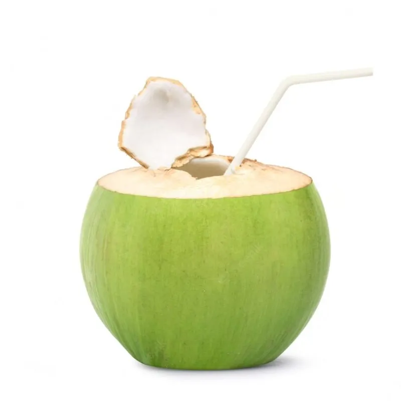 Coco fresco para beber Vietnam Coconut