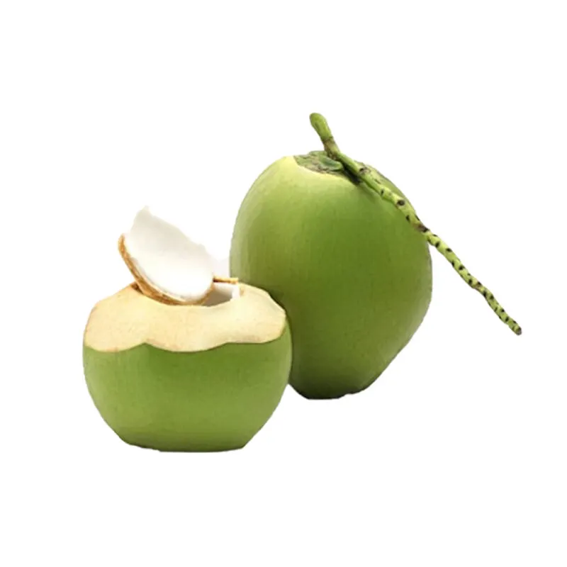 Coco fresco para beber Vietnam Coconut