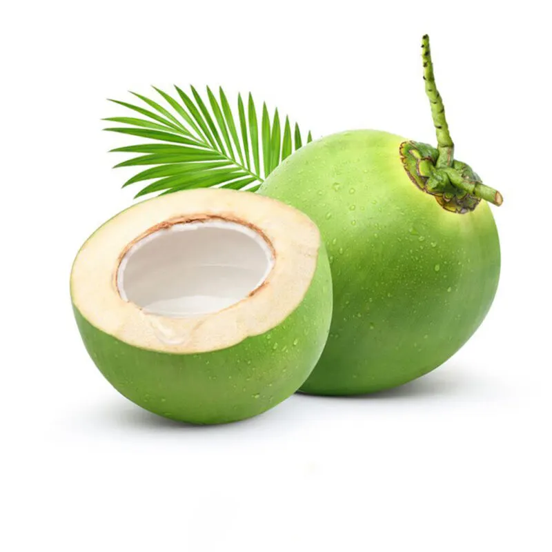 Coco fresco para beber Vietnam Coconut