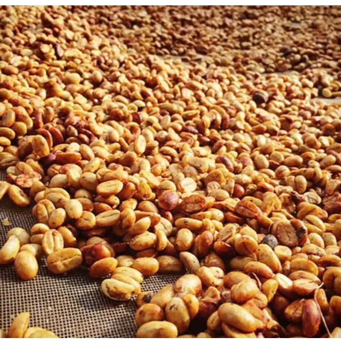 Robusta Honey S18 Coffee – Rich Vietnamese natural flavor