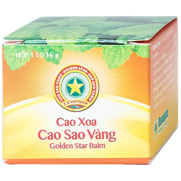 Cao Sao Vàng Danapha Erkältungs- und Grippepaste 16g