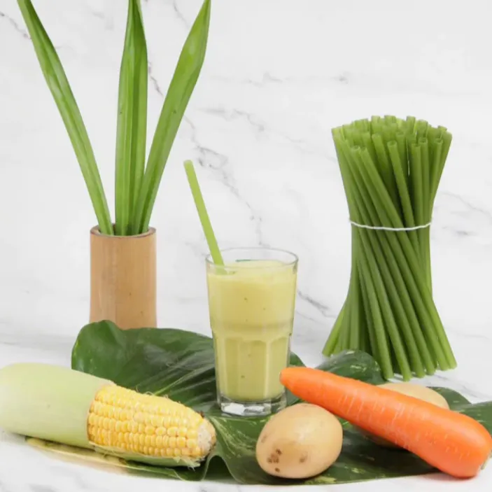 ECOS vegetable straws, pandan green color