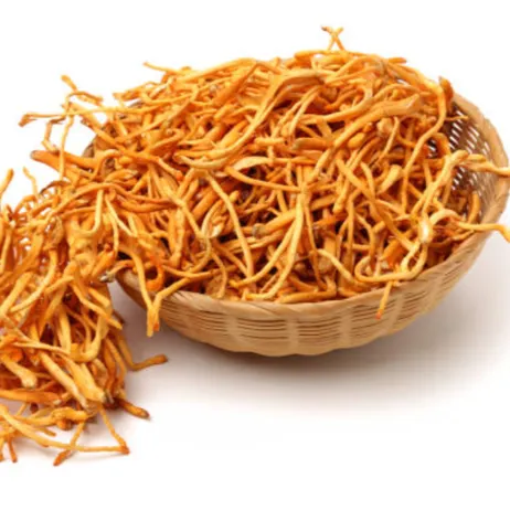 ĐÔNG TRÙNG HẠ THẢO NGÂM RƯỢU