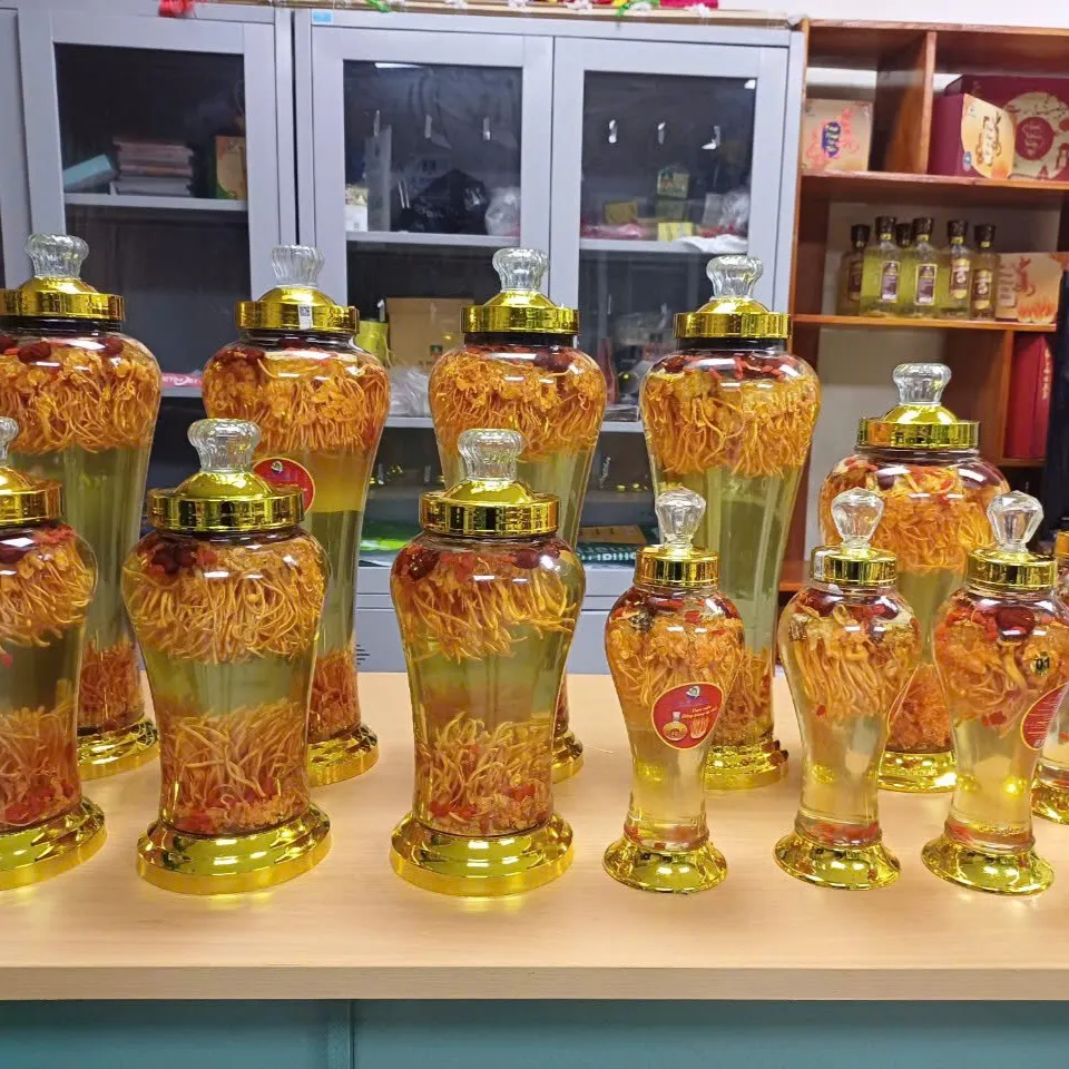 冬虫夏草の漬け酒 - クエットタン農業・商業・サービス協同組合 | Arobid