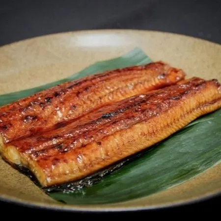 NMT-Bicolor日本鳗鱼 – 肉质厚实,新鲜高级