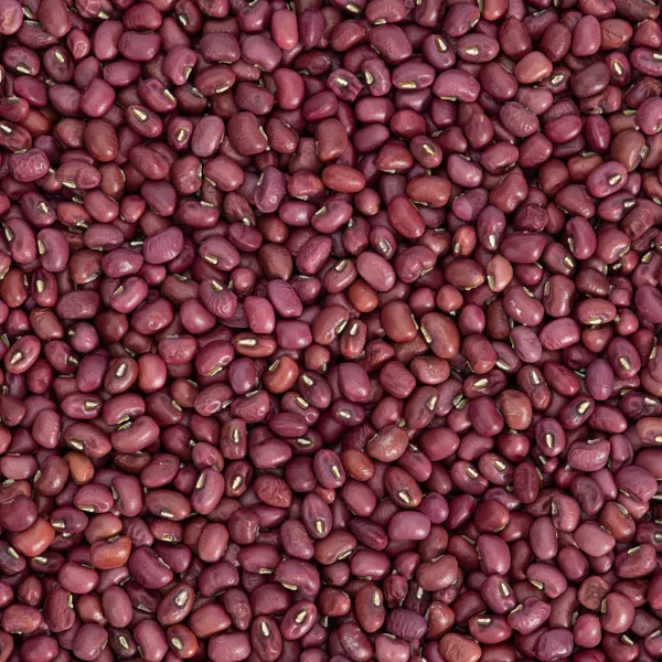 有机红豆干 - 500克盒装