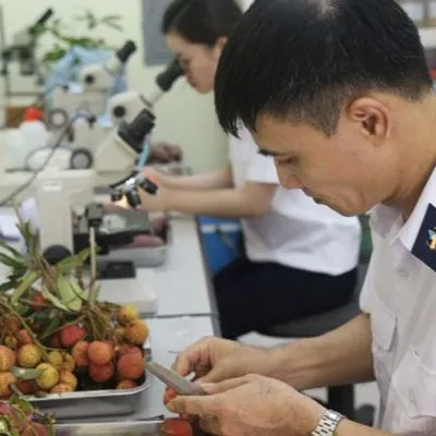 植物检疫(植物检疫证书)